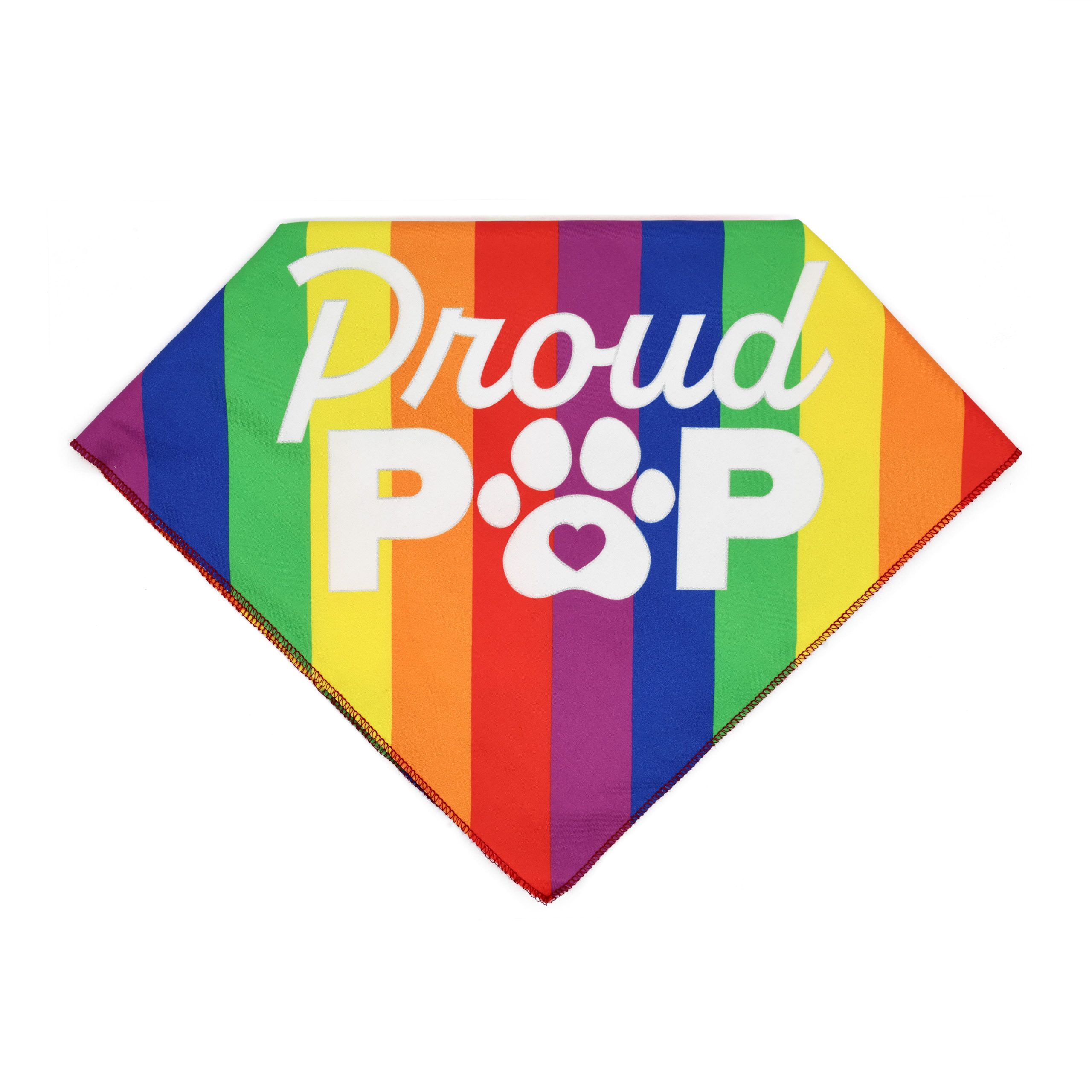 Pride Rainbow Pet Bandana by Celebrate It™ - Image 2