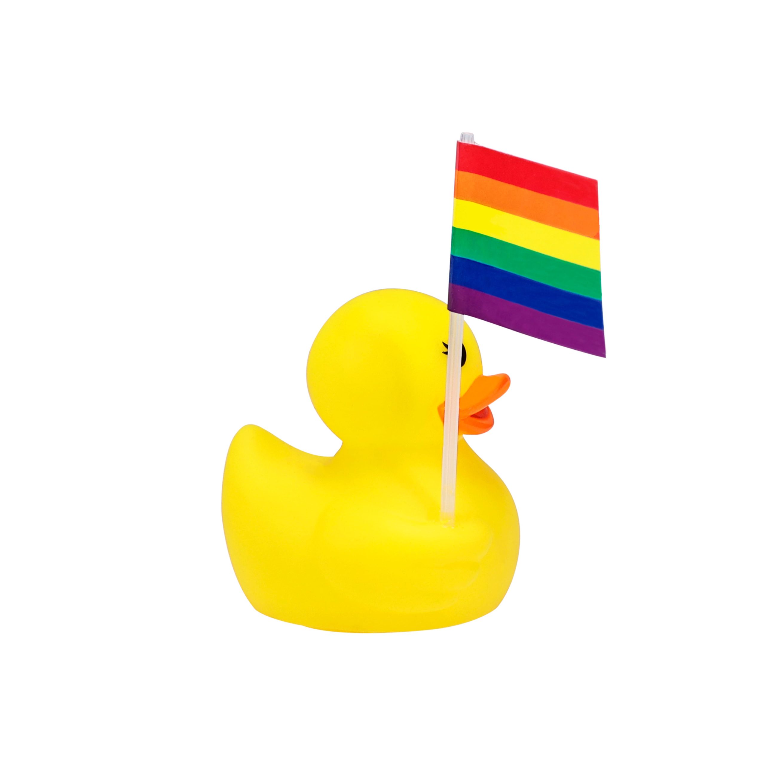 Duck with Pride Flag by Celebrate It™ - Image 2