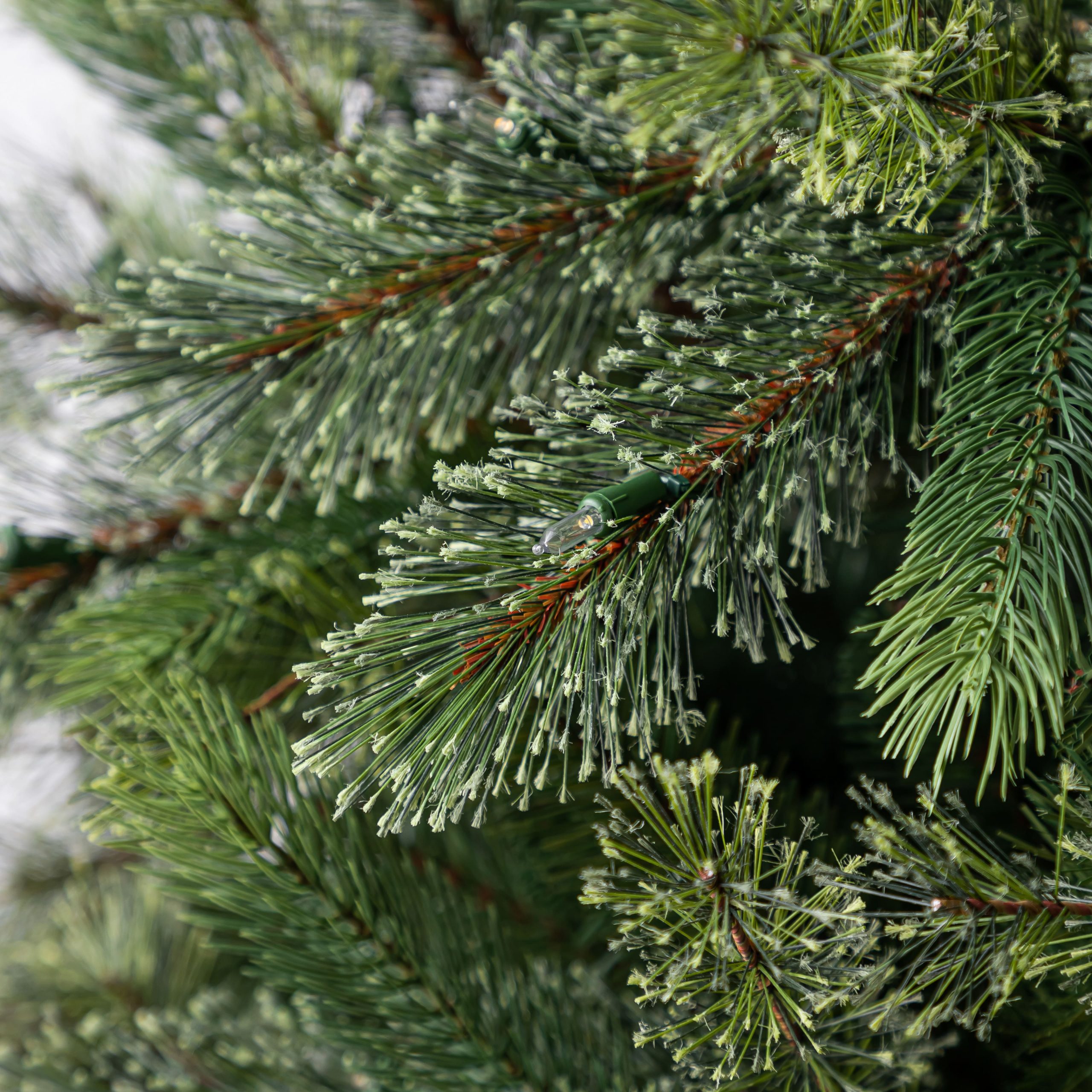 7.5ft. Pre-Lit Jackson Spruce Artificial Christmas Tree, Warm White LED Lights by Ashland® - Image 3